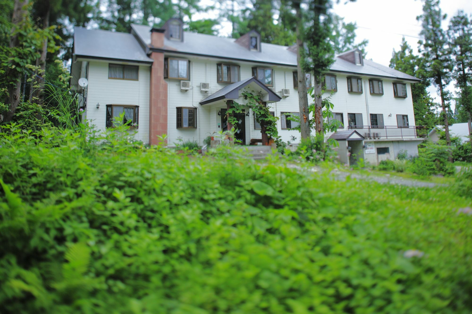 Hakubagoryu Pension&Logcottage Arumu 外观 照片